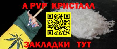 ALPHA PVP Гатчина
