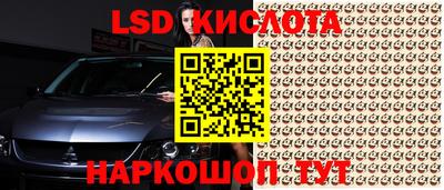 ALPHA PVP Гатчина